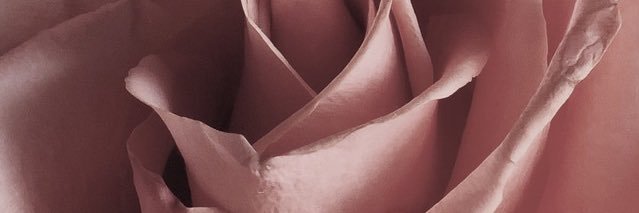 sofiadellios's profile banner image