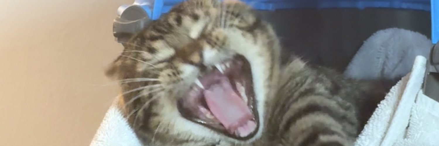 zaddy________'s profile banner image