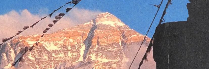 The Library of Alexandria banner