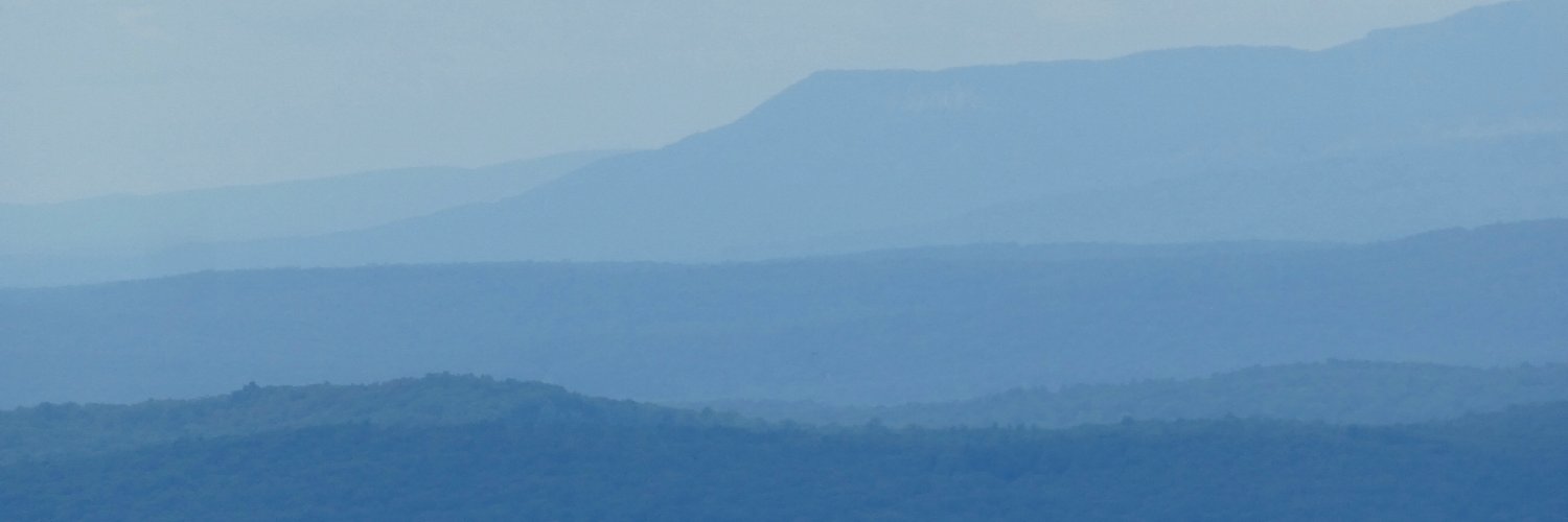 whybirdssing's profile banner image