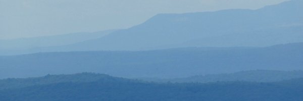 whybirdssing Profile Banner