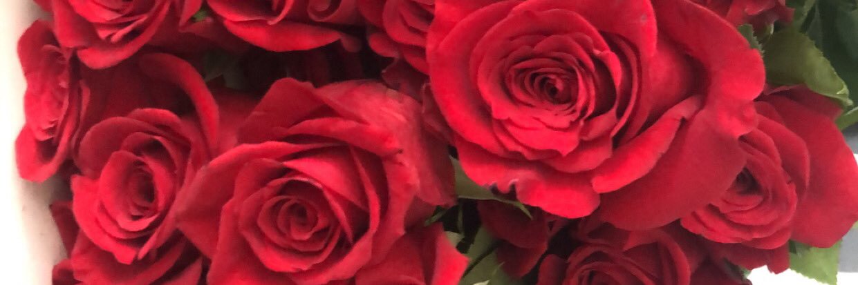 annielopez13's profile banner image