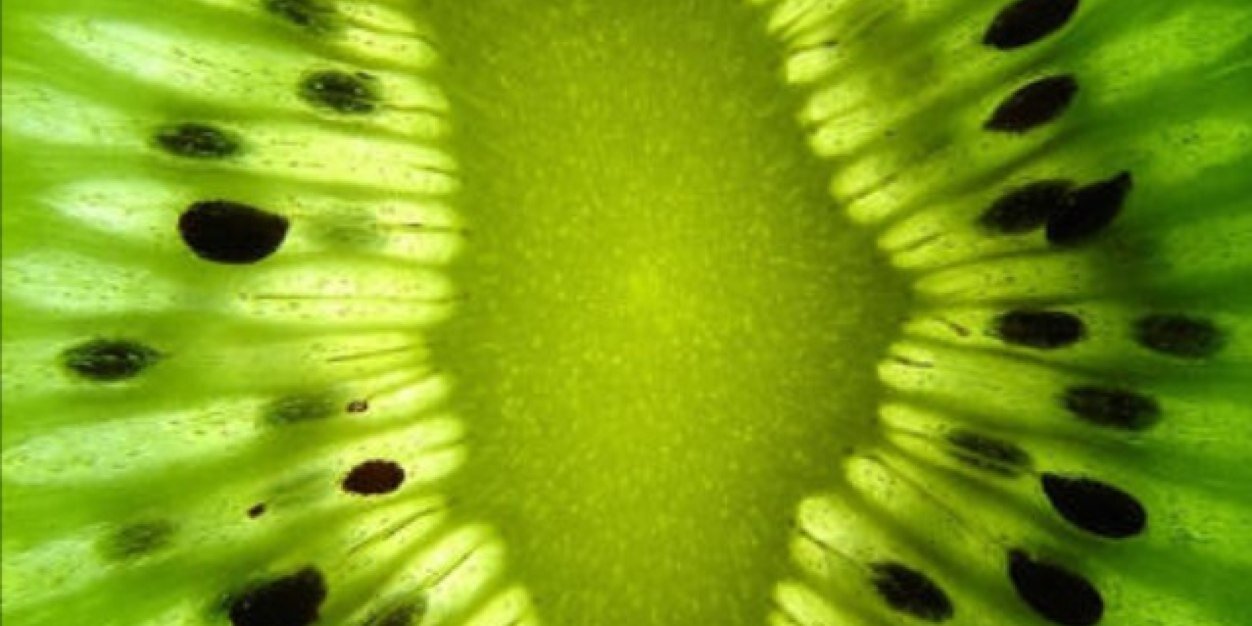 LizDinsmoree's profile banner image