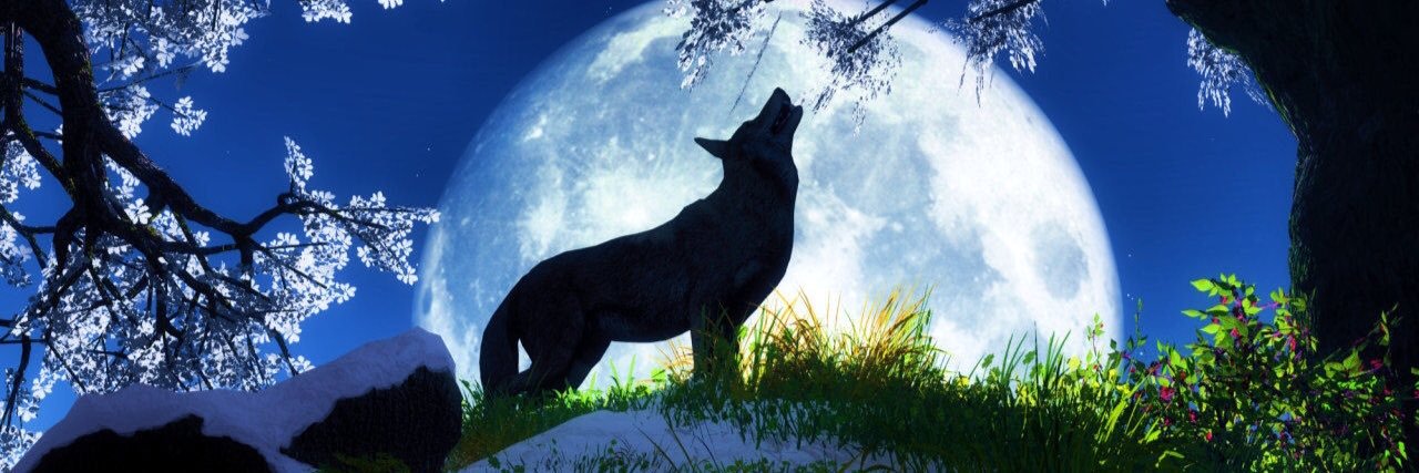 SlamminSam7's profile banner image