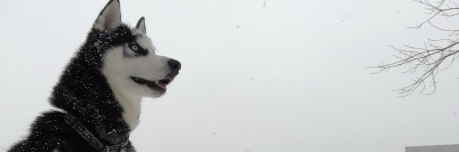 BossReo1's profile banner image