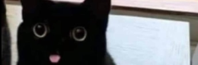 oksiclean's profile banner image