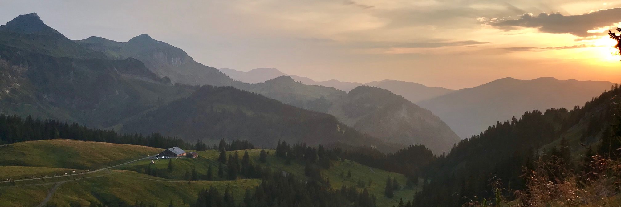 Claudia Gamon 🇪🇺🇺🇦 banner