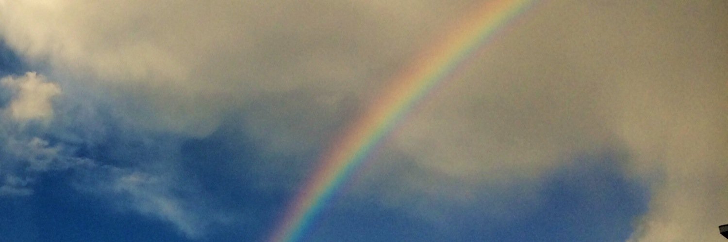 ginaparo's profile banner image