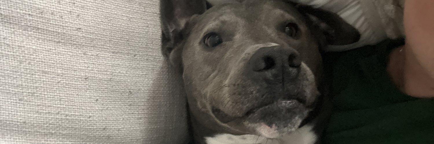 cheyenneertz's profile banner image