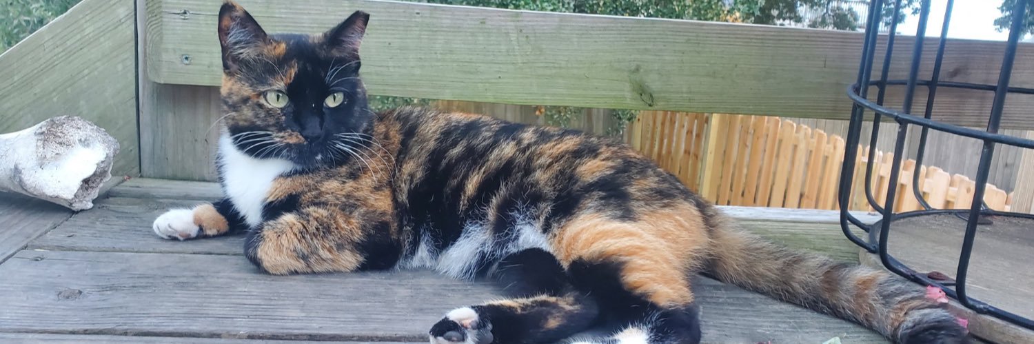 Allie2short's profile banner image