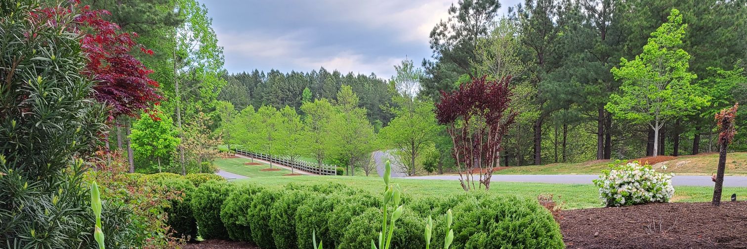 Kim Stevenson banner