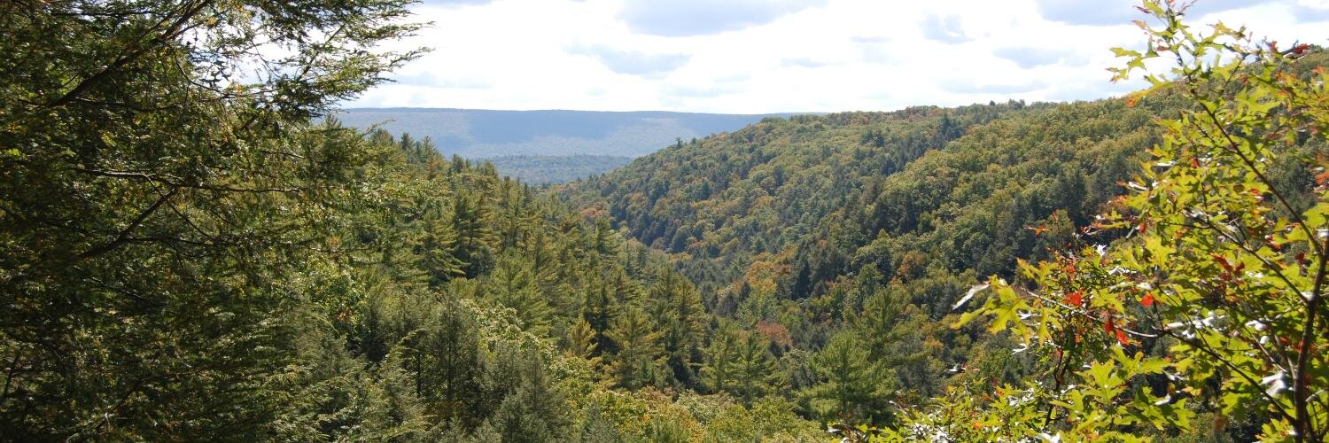 electric city banner