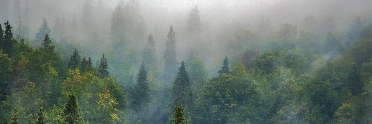rabbanibbn's profile banner image