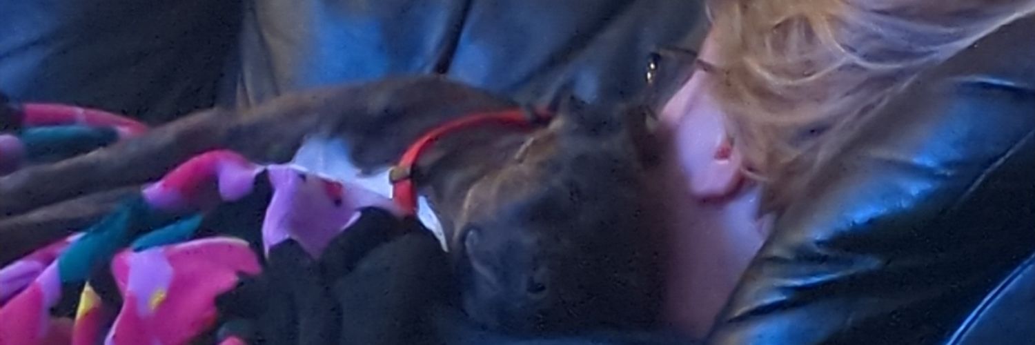 heyo_levi's profile banner image