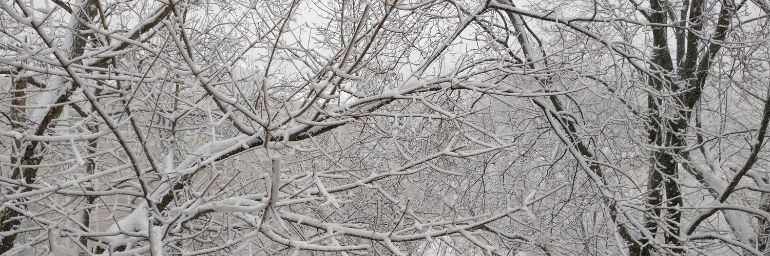 mbloomfieldj's profile banner image