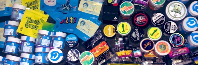 BEARly_sober's profile banner image