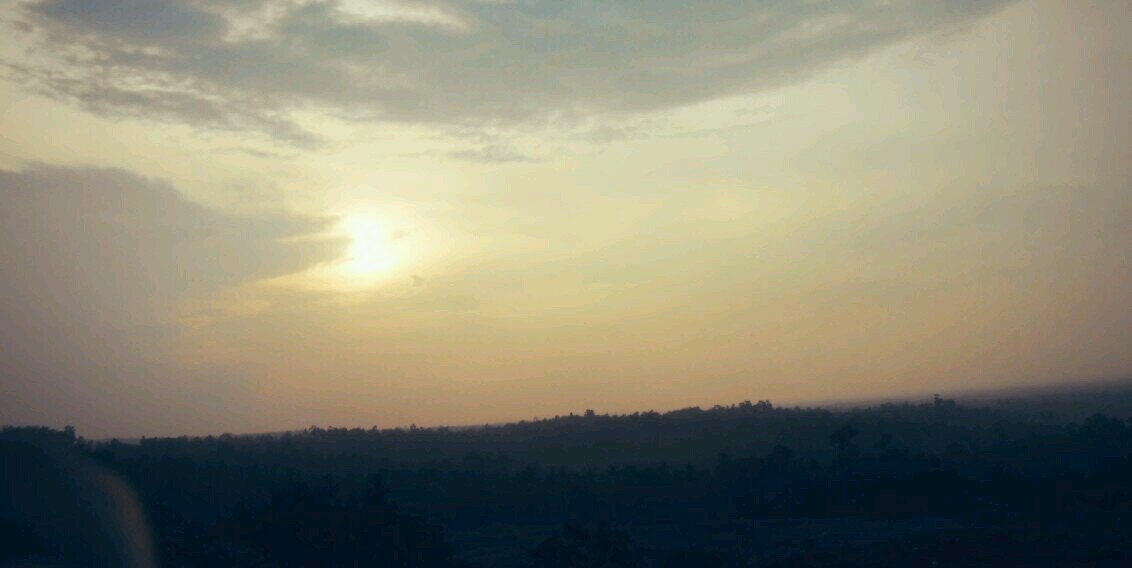 mutia1124's profile banner image