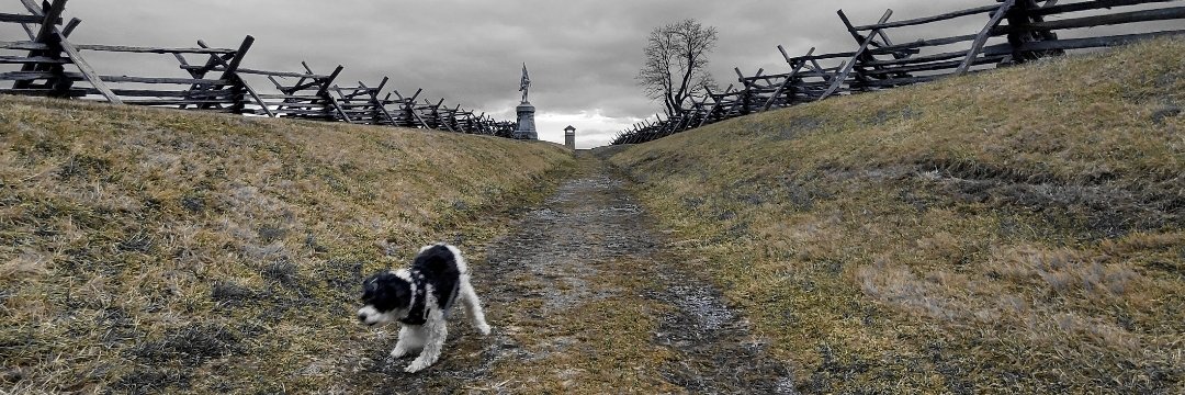 Chloe Sullivan-Jones banner