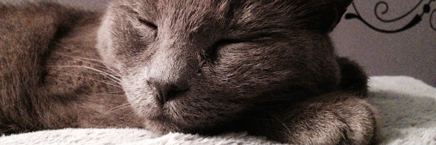 chloeeeking's profile banner image