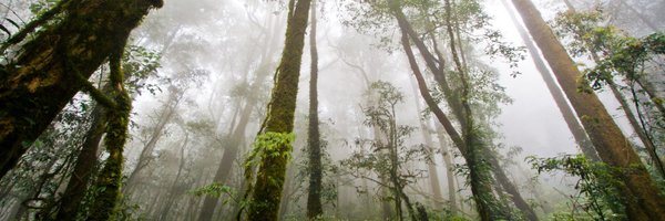 NuengStudio Profile Banner