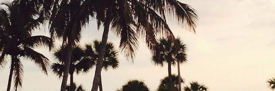 PaigeComrie's profile banner image