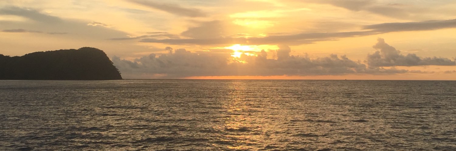 StephGerez's profile banner image