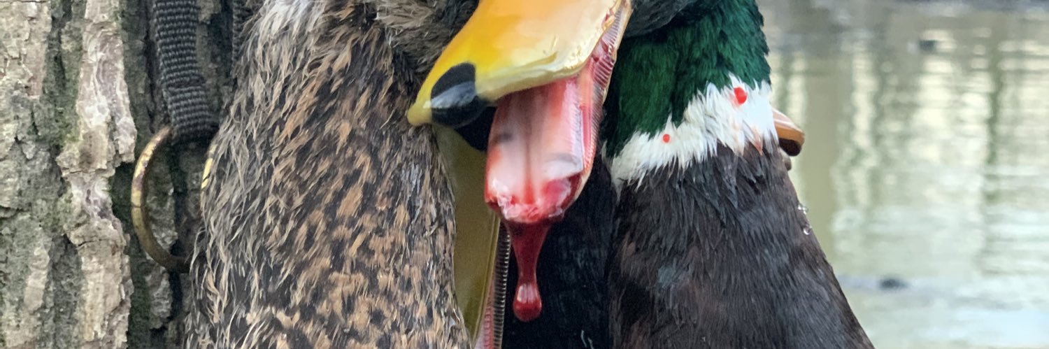 troyquinn31's profile banner image