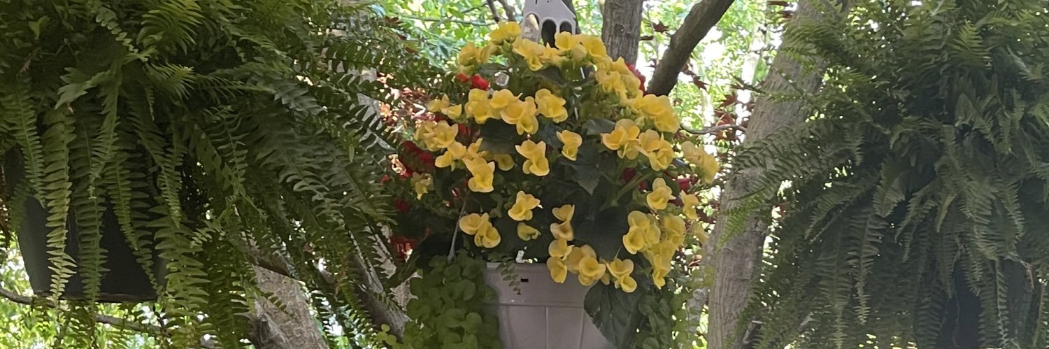 ms_mvee's profile banner image