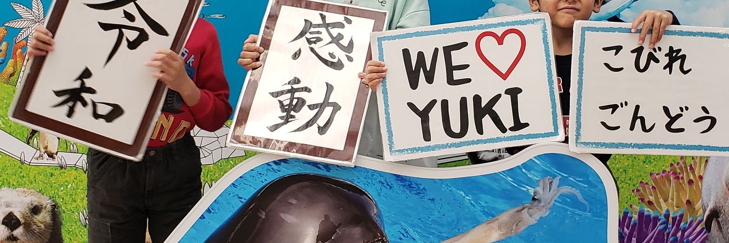 yuki_yui_'s profile banner image