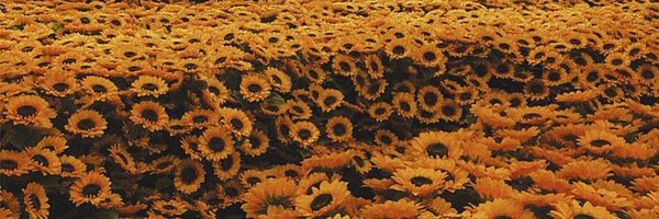 Marle_HB Profile Banner