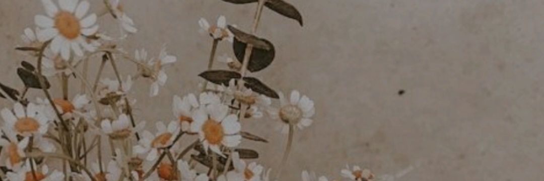 rcamilaaa's profile banner image