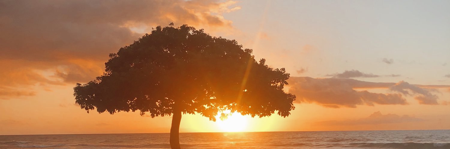 CePearce12's profile banner image