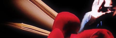 king88shawty's profile banner image