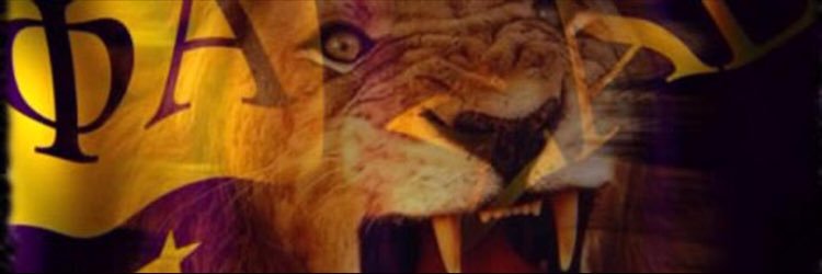 UmmDanielCarson's profile banner image