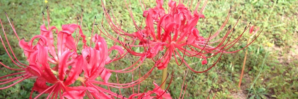 Abberish's profile banner image