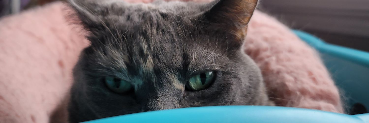 JeffsLeisha's profile banner image