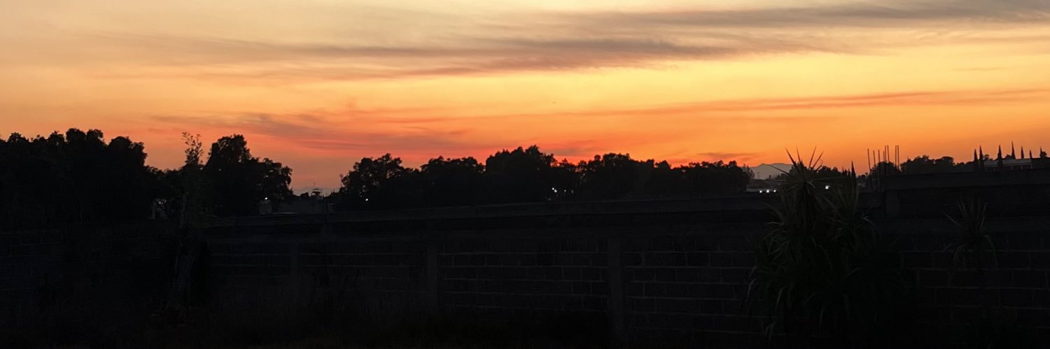 ilsedelvalle1's profile banner image