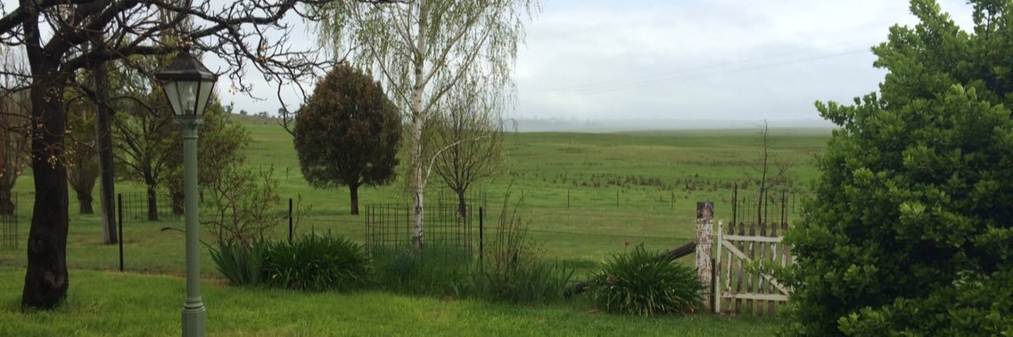 Catriona McAuliffe banner