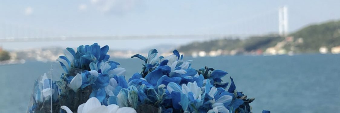 HayaSubaie's profile banner image
