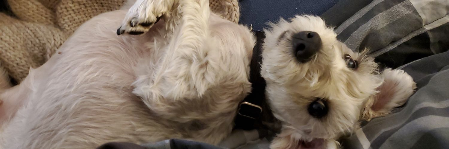 quiterealham's profile banner image