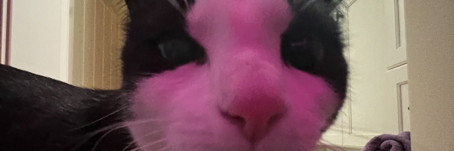bluhairedlib's profile banner image