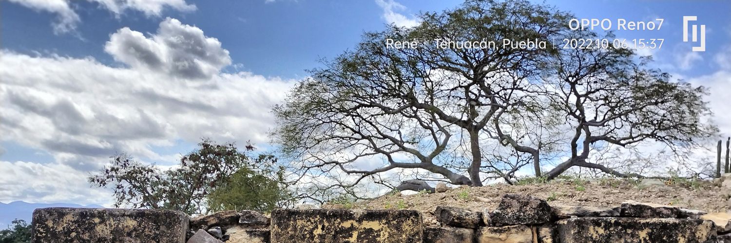 RenEstebanTrini's profile banner image