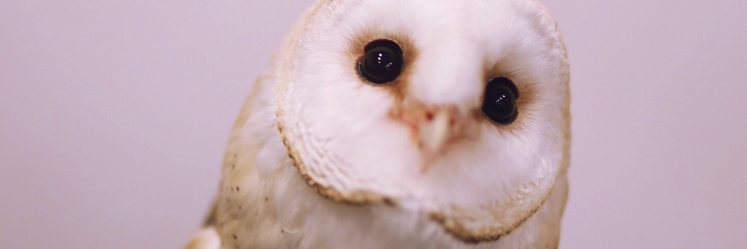 athy_fy's profile banner image