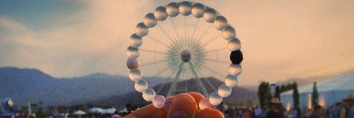 Lydia_Noell's profile banner image
