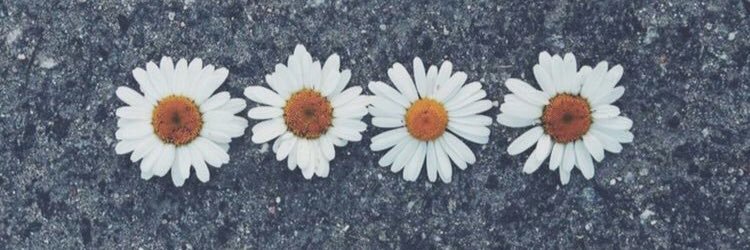 miismally's profile banner image
