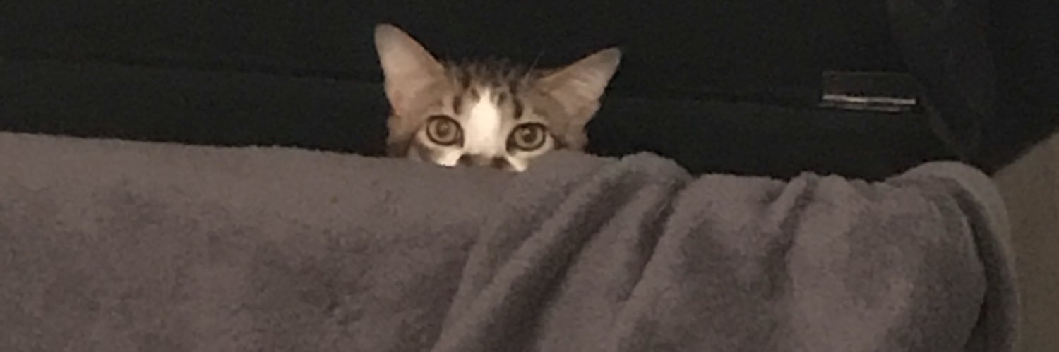 An Actual Cactuar banner