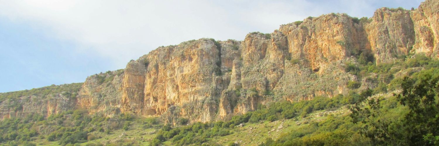 fakihadnan1's profile banner image