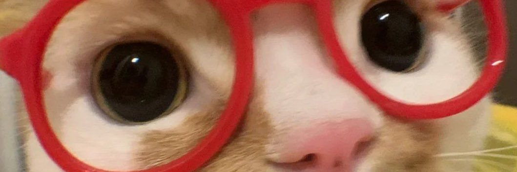 𝓜ó𝓷𝓲𝓬𝓪 🌸 banner