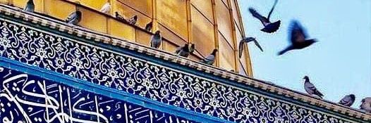 The Man of Flesh, Blood & Weakness banner