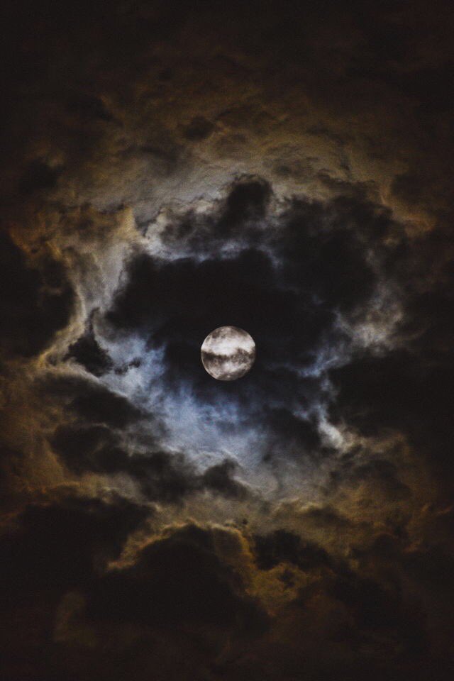 ChiaQuiroga's profile banner image
